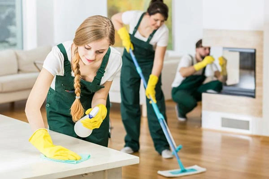 Apartment Cleaning Services